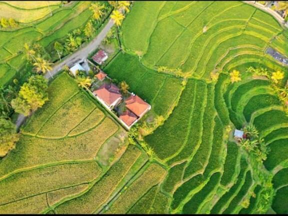Yoga Homestay Мундук Экстерьер фото